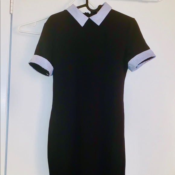 Collared Dress - Picture 1 of 1